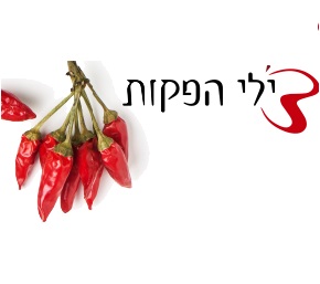 צ\ילי הפקות